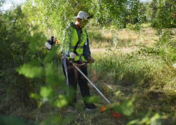 EL MUNICIPIO CONTINUA CON TRABAJOS DE DESMALEZAMIENTO EN LOS ACCESOS DE LA CIUDAD
