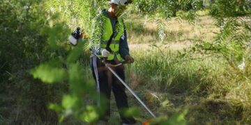 EL MUNICIPIO CONTINUA CON TRABAJOS DE DESMALEZAMIENTO EN LOS ACCESOS DE LA CIUDAD