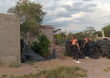 Continúan los operativos de limpieza y prevención contra el dengue en el barrio Lotes San Andrés