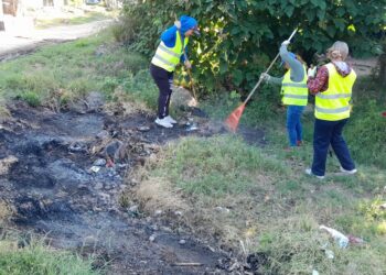 Se realizó operativo de control de foco contra el dengue en los barrios Centro y Loteo San Andrés