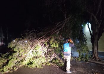 MUNICIPIO TRABAJA EN REACINDICIONAMIENTO TRAS LLUVIAS.