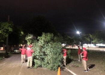 DESPUES DE LA LLUVIA EL MUNICIPIO TRABAJA PARA RECUPERAR LA CIUDAD