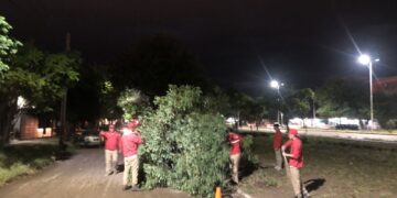 DESPUES DE LA LLUVIA EL MUNICIPIO TRABAJA PARA RECUPERAR LA CIUDAD