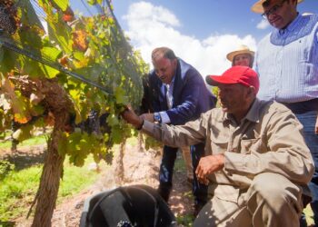 Quintela visitó Chañarmuyo y destacó sus bondades para la vitivinicultura