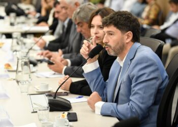 La provincia de La Rioja expuso sobre sus proyectos mineros en el Congreso de la Nación