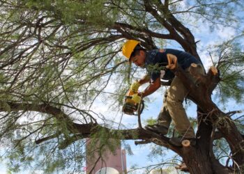 ZONA SUR: CONTINÚAN LOS TRABAJOS PARA RECUPERAR LA CIUDAD LUEGO DEL TEMPORAL
