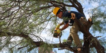 ZONA SUR: CONTINÚAN LOS TRABAJOS PARA RECUPERAR LA CIUDAD LUEGO DEL TEMPORAL