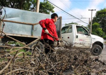 CONTINÚA LA ERRADICACIÓN DE BASURALES EN LA CIUDAD