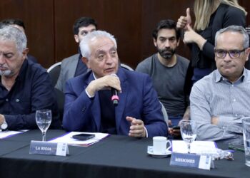 Crisis en el Garrahan: Vergara alertó que su debilitamiento afecta a todo el sistema de salud argentino