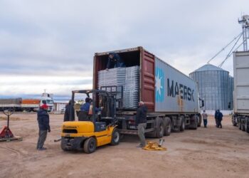Cerdo de los Llanos avanza en una nueva obra que le permitirá incrementar su producción