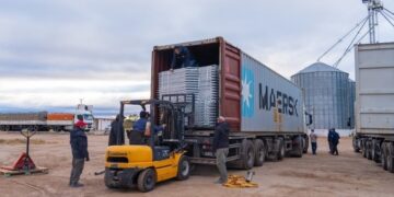 Cerdo de los Llanos avanza en una nueva obra que le permitirá incrementar su producción