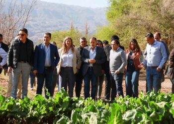 Quintela visitó la Finca Municipal que abastece a los comedores escolares y ya trabaja sobre producción de ajo, comino y verduras