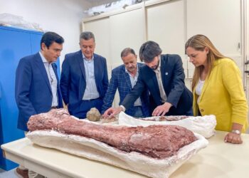 La Rioja presentó una investigación sobre dinosaurios publicada en Nature y que recorre el mundo