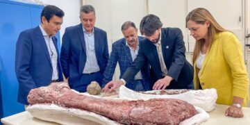 La Rioja presentó una investigación sobre dinosaurios publicada en Nature y que recorre el mundo