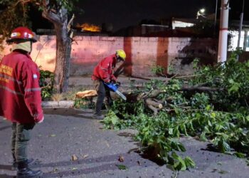 El Comité Operativo de Emergencia trabaja para restablecer servicios y asistir a la población afectada por el fuerte viento