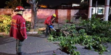 El Comité Operativo de Emergencia trabaja para restablecer servicios y asistir a la población afectada por el fuerte viento