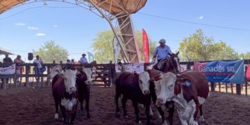 El 4to Remate de Cabañas amplió su alcance regional y reafirmó su apuesta al crecimiento de la ganadería riojana