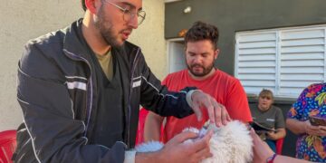 ​BIENESTAR ANIMAL: EL MUNICIPIO SUPERÓ LAS 8.800 CASTRACIONES GRATUITAS