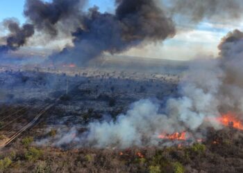 Continúan las tareas en incendio de la zona Sur mientras que en zona Norte ya fue contenido