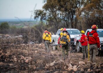 Extinguieron incendio forestal en el departamento Capital