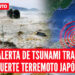 Japón emite una alerta de tsunami tras un terremoto de magnitud 6.7 en el mar