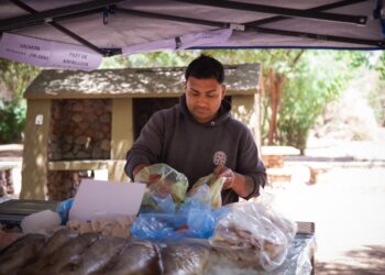 “PESCADOS PARA TODOS”: ALTA DEMANDA Y ÉXITO DEL PROGRAMA EN EL INTERIOR PROVINCIAL