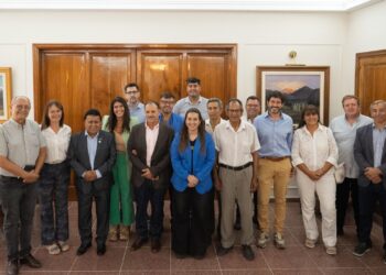 La Provincia reactivó fondos rotatorios para asegurar la cosecha de aceitunas en Arauco