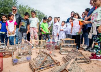 Liberaron 30 aves recuperadas del cautiverio junto a alumnos de una escuela rural