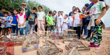 Liberaron 30 aves recuperadas del cautiverio junto a alumnos de una escuela rural