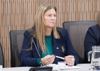 Gabriela Pedrali impulsa un proyecto de tarifa diferenciada de energía para el Norte Grande