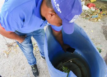 Advierten sobre el brote de chikungunya en el norte del país y refuerzan recomendaciones para evitar su propagación