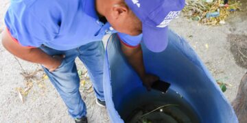 Advierten sobre el brote de chikungunya en el norte del país y refuerzan recomendaciones para evitar su propagación