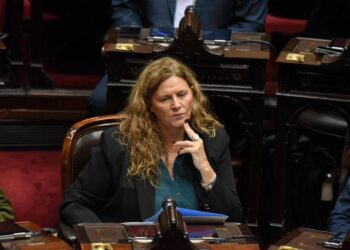 Pedrali: Quintela prioriza los derechos de la gente, no planillas de excel como el Gobierno Nacional
