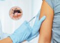 LA PROVINCIA CONVOCA A COMPLETAR LA VACUNACIÓN CONTRA EL DENGUE