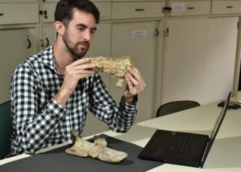 DESCUBREN EN TALAMPAYA UN GIGANTESCO DEPREDADOR DE HACE 237 MILLONES DE AÑOS