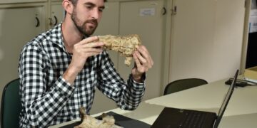 DESCUBREN EN TALAMPAYA UN GIGANTESCO DEPREDADOR DE HACE 237 MILLONES DE AÑOS