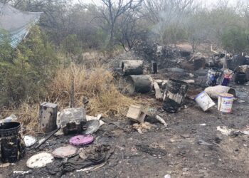 OPERATIVO DE DETECCIÓN TEMPRANA: CONTROLARON 13 FOCOS DE INCENDIO EN CAPITAL