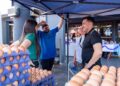 LOS CHACHOS PODRÁN UTILIZARSE DESDE ESTE VIERNES EN EL MERCADO POPULAR