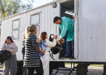 La Provincia realizó más de 2 mil castraciones gratuitas en el año y continúa ofreciendo turnos para perros y gatos