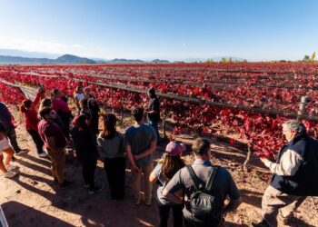 El Bus Turístico de la Ruta del Vino Riojano anunció nuevas salidas por la Costa y Chilecito-Famatina